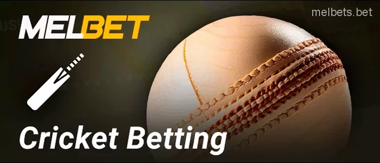 Cricket betting at Melbet BD